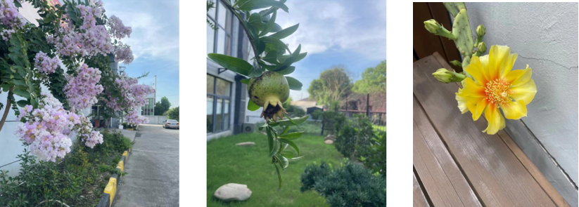 1714361860120912.png 1714361860120912.png